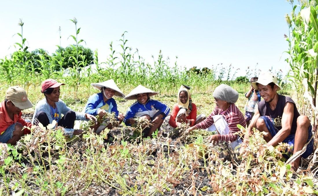 Using GAP to Save Seedlings, and Increase Harvest Sacks 