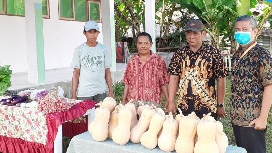 Hasil Panen Melimpah, Petani Touna Rayakan Pesta Panen Padungku