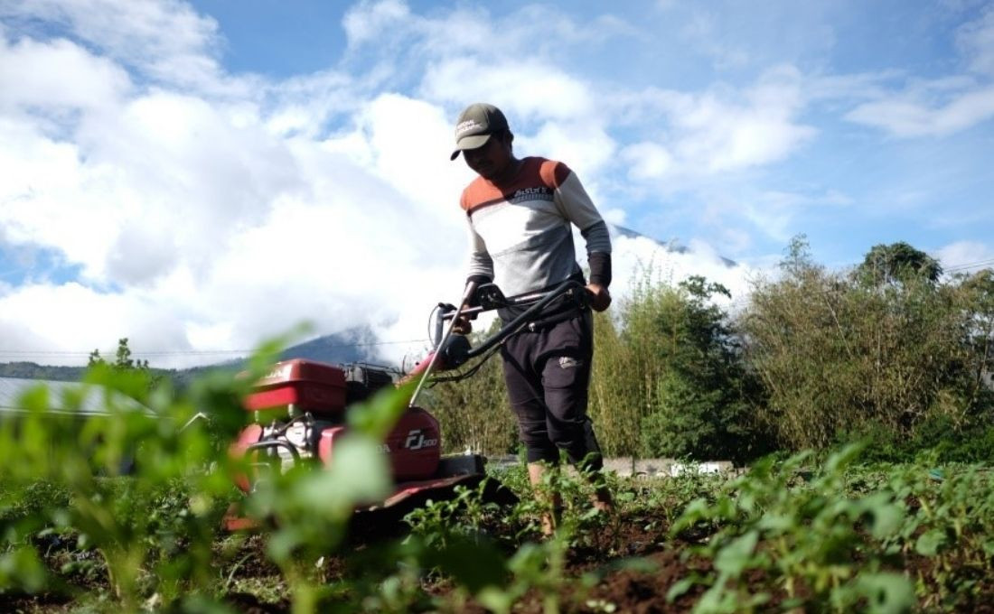 New Hope at the Beginning of the Planting Season 