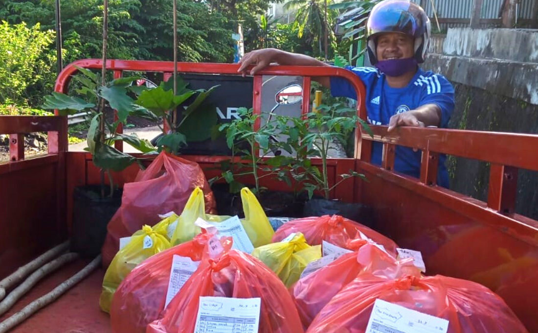 The Benefit of Planting Organic Vegetables During the Pandemic