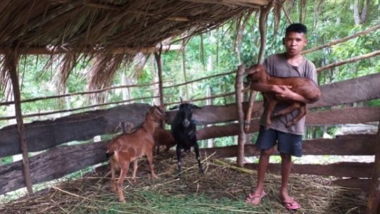 Benu and The Goats from Sponsor