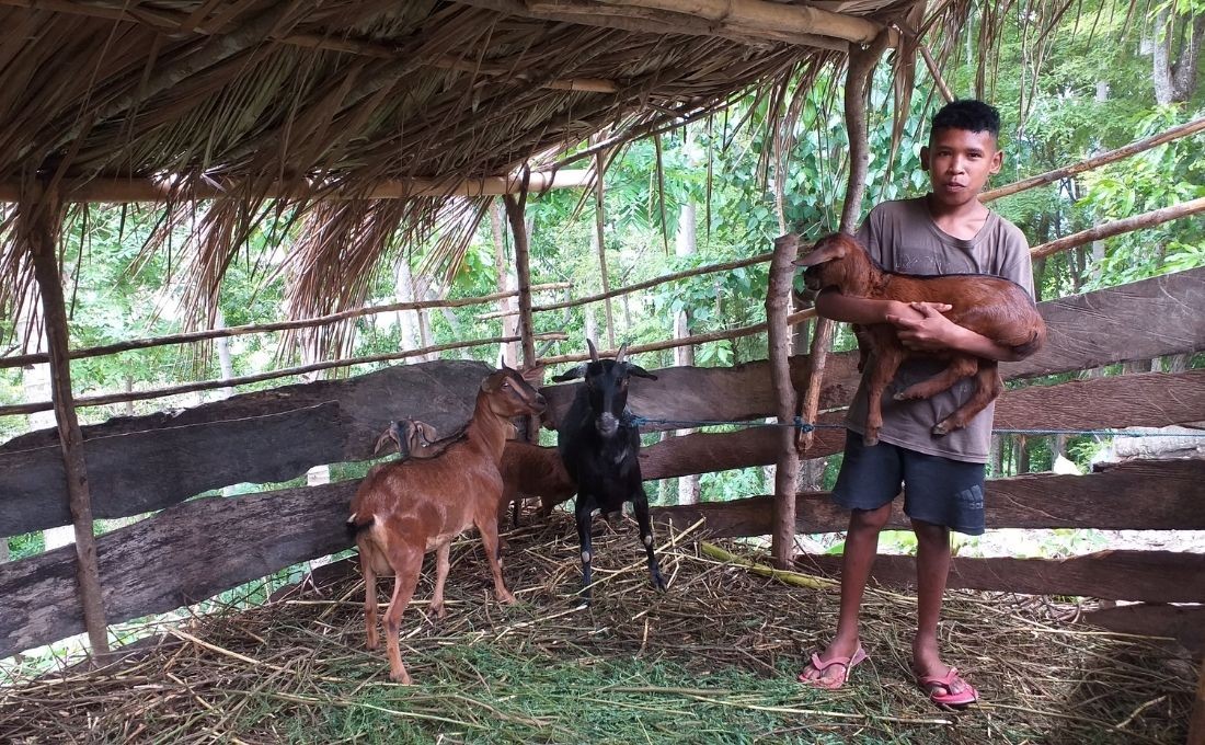 Benu and The Goats from Sponsor