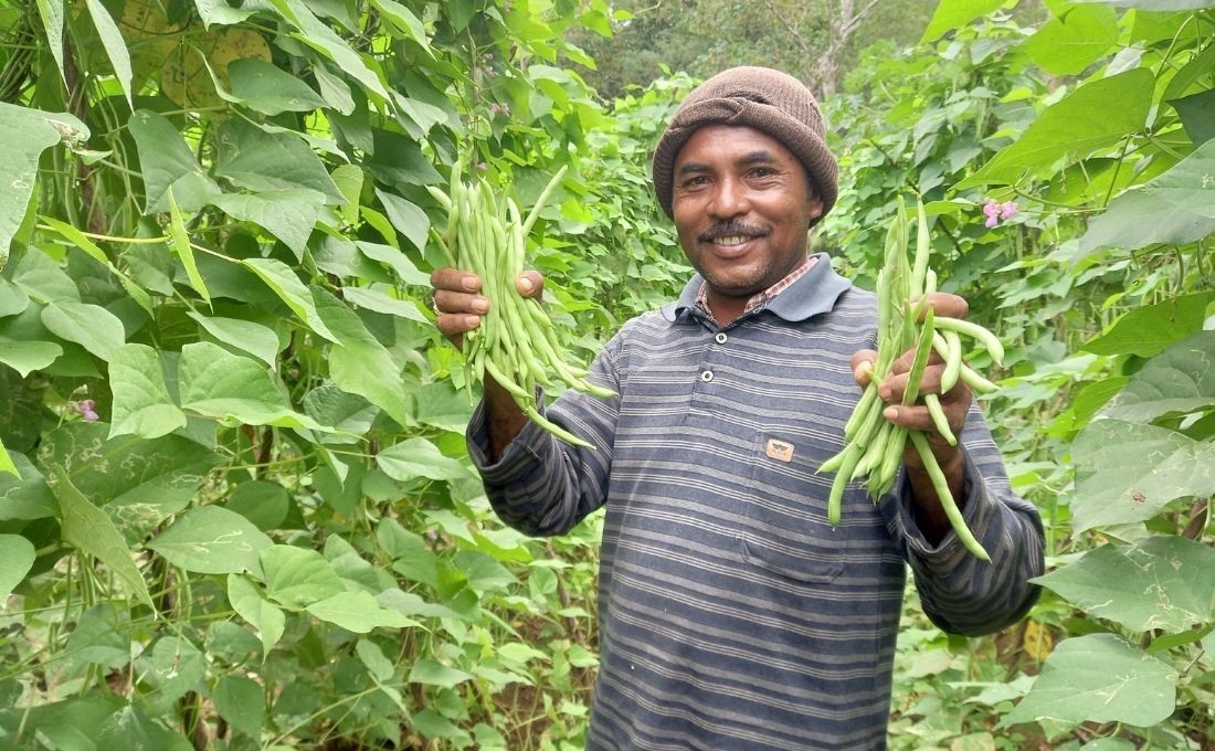 Drip Irrigation, New Hope for Farmers in Kupang