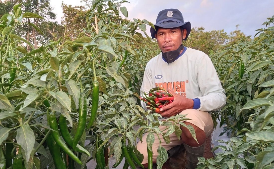 More Family Income by Implementing Drip Irrigation Technique