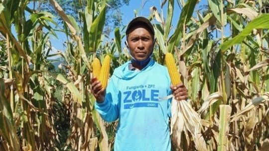 Pernah Terdampak Gempa, Petani Ini Optimis Buka Lahan Jagung