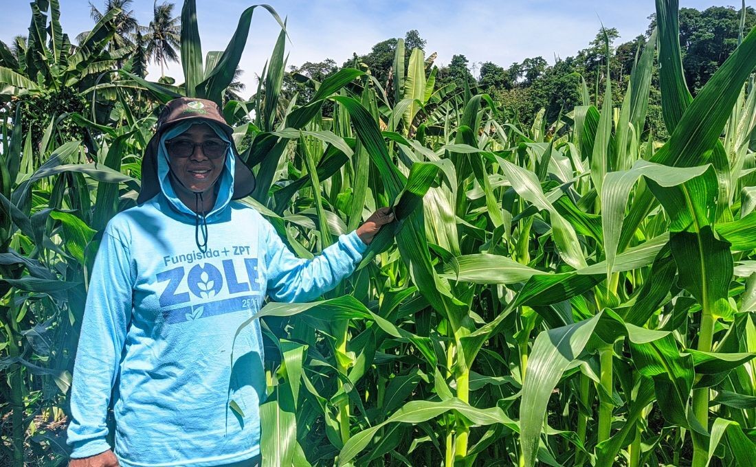 Corn Farming for Children's Education