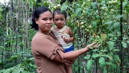 Rajin di Kebun Gizi, Anak Pangkal Sehat