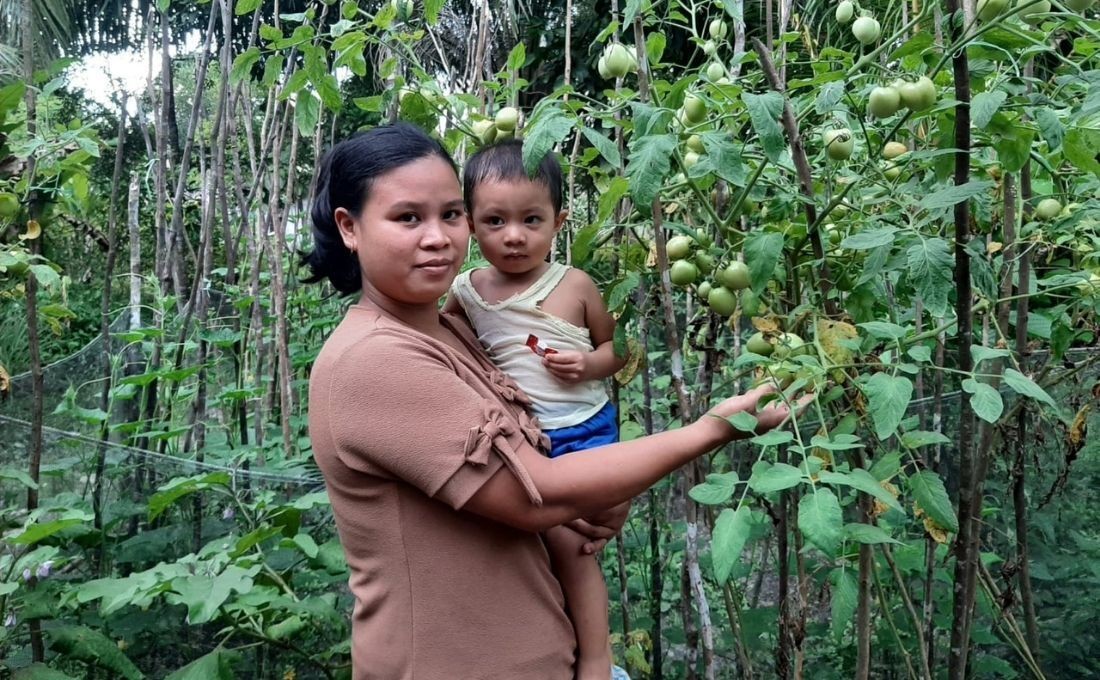 Diligent in the Nutrition Garden, Child Gets Healthy