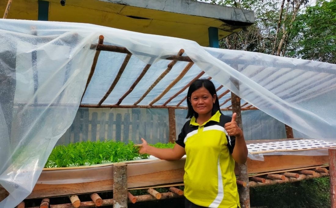 Green Vegetables for Family