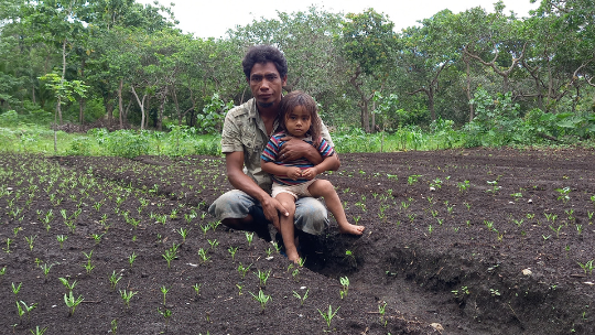 Ayah Siaga dari Sumba Barat Daya