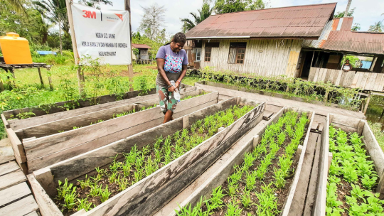 Nutrition Garden for My Children