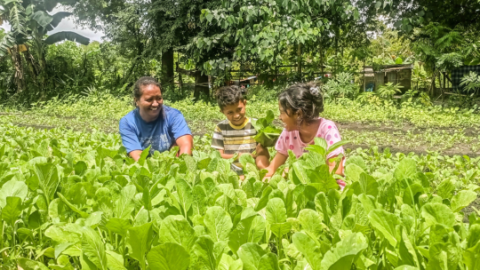 Nutrition Garden Training Empowers Community in Kupang Regency 