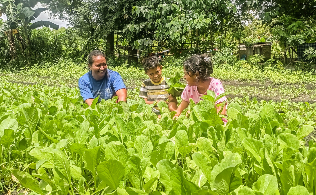 Nutrition Garden Training Empowers Community in Kupang Regency 