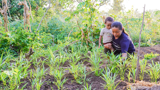 Small Patch that Matters for Food Security 