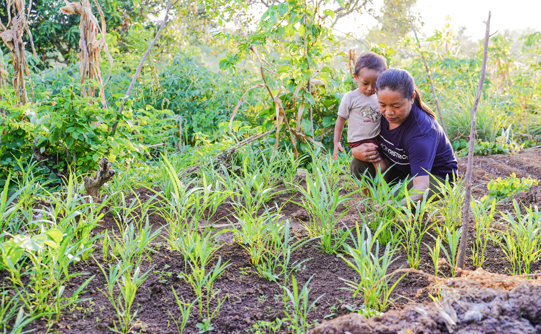 Small Patch that Matters for Food Security 