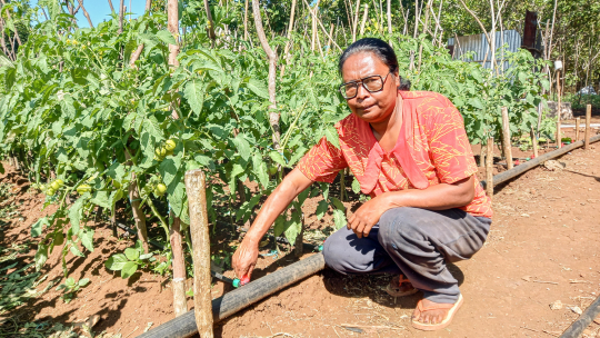 A Technological Leap: Indonesian Farmers Adapt to Climate Change 