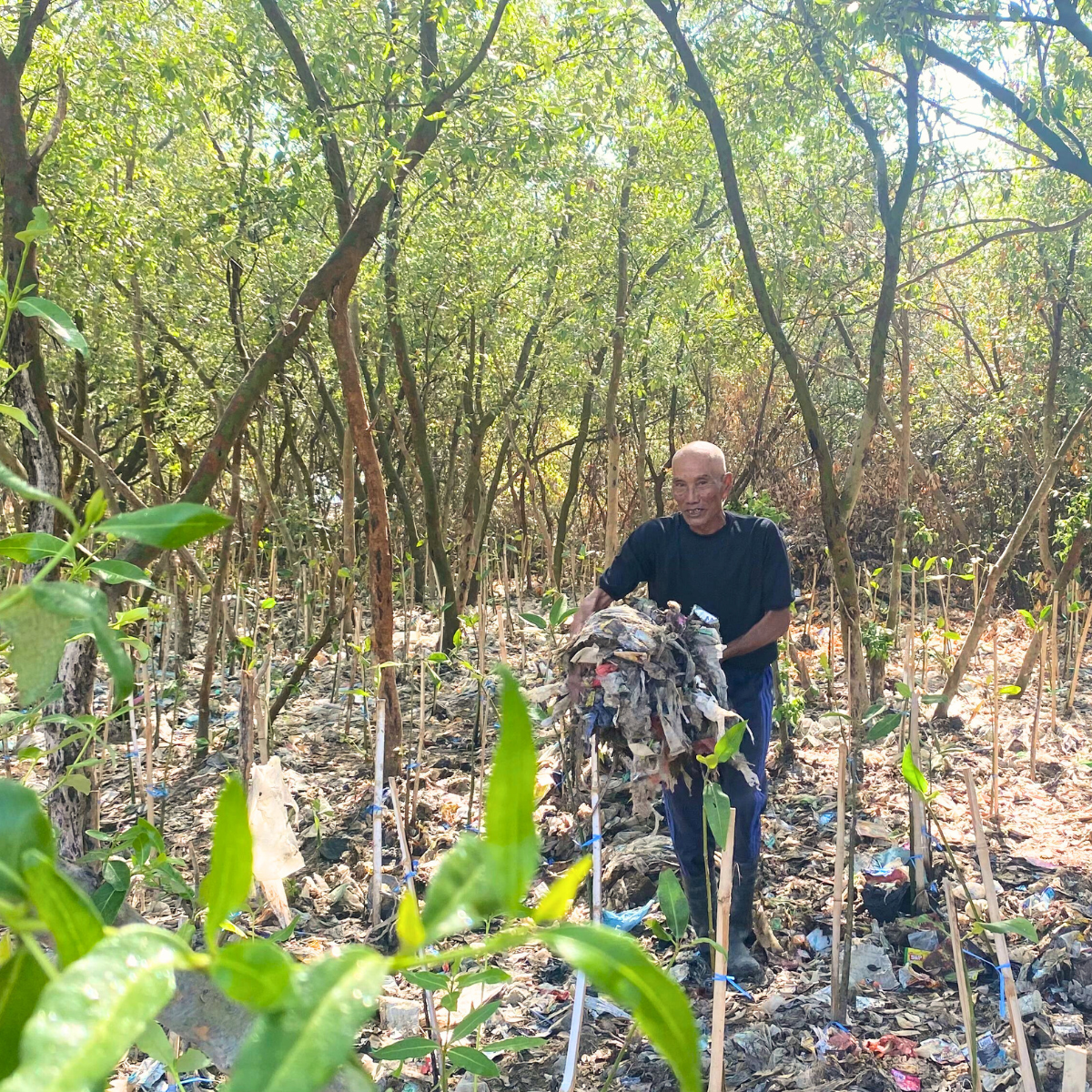 Waste Versus Mangrove: Facing Barriers to Protect 