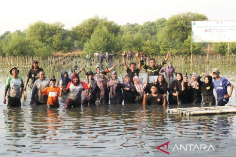 Pemkot Surabaya dan WVI Kampanyekan Mangrove Bisa Tingkatkan Ekonomi