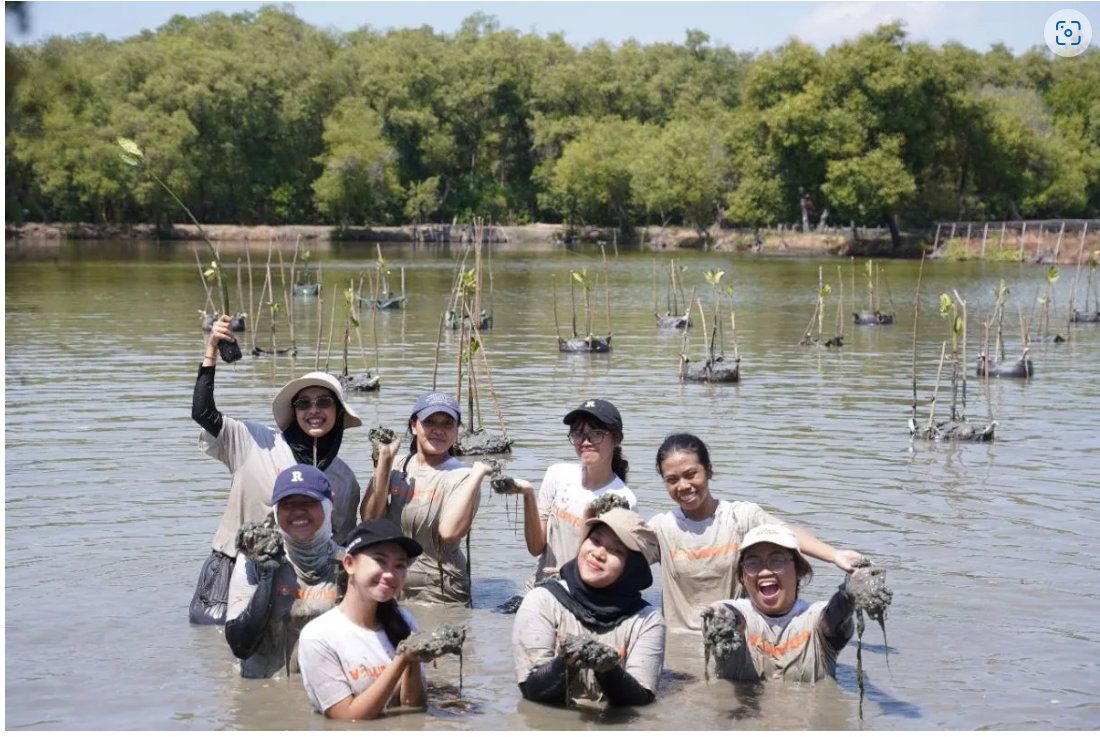 Pemkot Surabaya-WVI tanam seribu bakau di pesisir Wonorejo